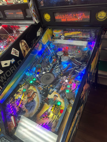Image of SEGA Twister Pinball Machine