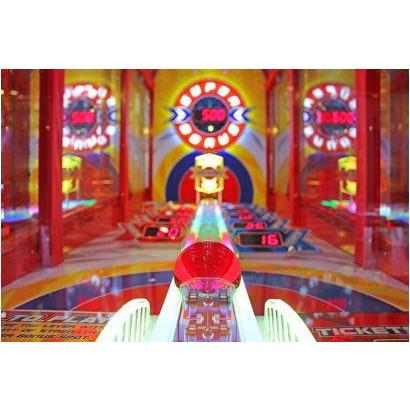 Image of Sega Power Roll Redemption Game SEGA-PRR