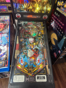 Data East Hook Pinball Machine