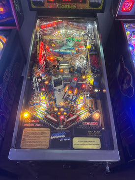 Gottlieb Shaq Attaq Pinball Machine