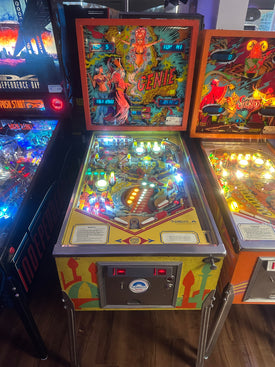 Gottlieb Genie Pinball Machine BLACK FRIDAY SALE