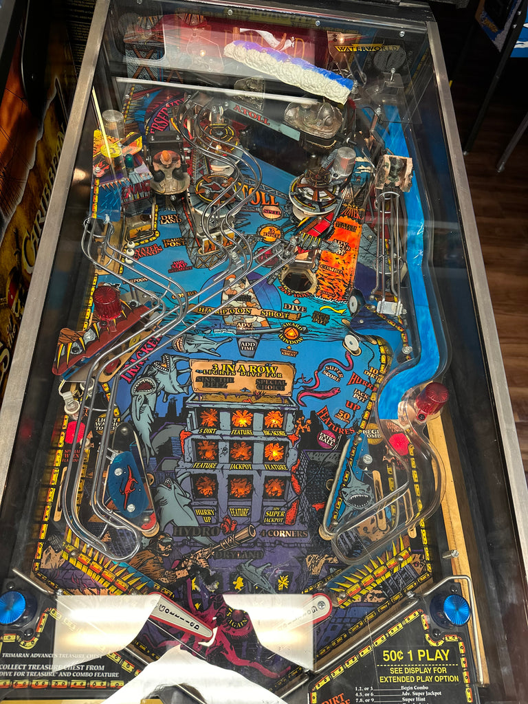 Gottlieb Waterworld Pinball Machine Game and Sport World
