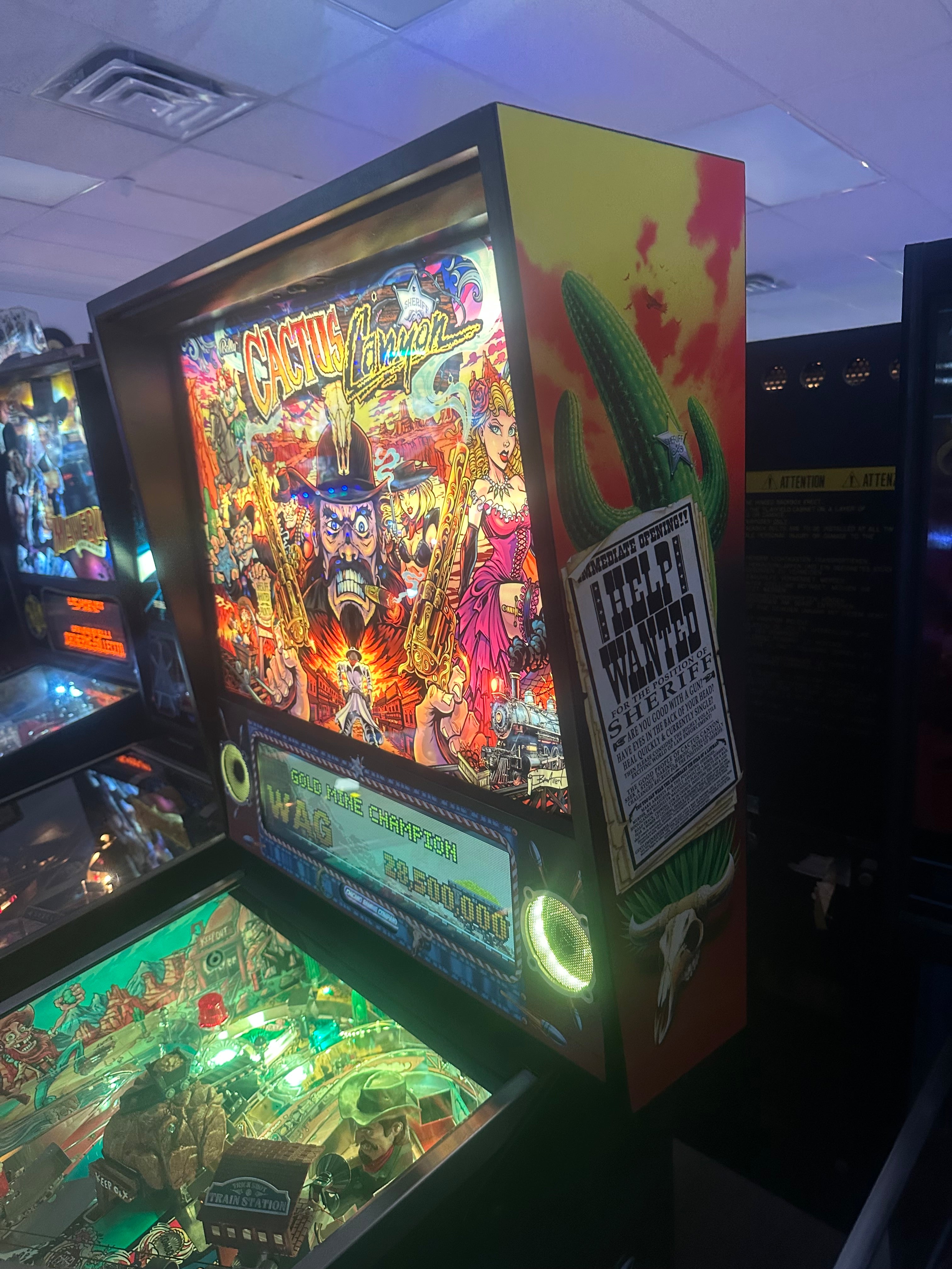 CGC LOADED Cactus Canyon Special Edition Pinball Machine
