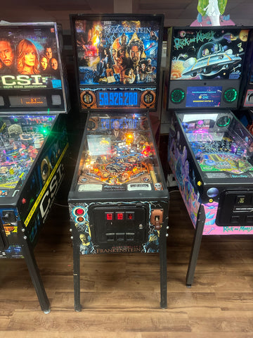 Image of SEGA Mary Shelley's Frankenstein Pinball Machine