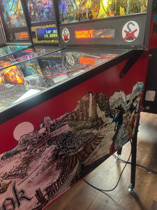 Data East Hook Pinball Machine