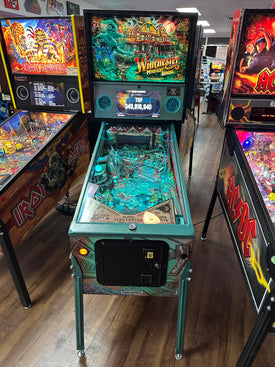Barrels of Fun Winchester Mystery House Pinball Machine